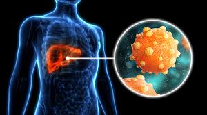 Understanding the Basics: What is Hepatitis B?