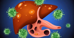 Chronic vs. Acute Hepatitis B: What You Need to Know